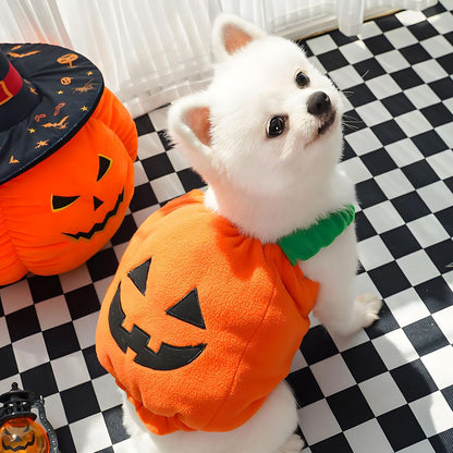 Funny Pumpkin Dog Halloween Costume Pet Dog Cat Thick Plush Pumpkin Decoration Shirt Clothes for Small Medium Dogs Cats Puppy Cute Halloween Party Cosplay Dress up Outfits