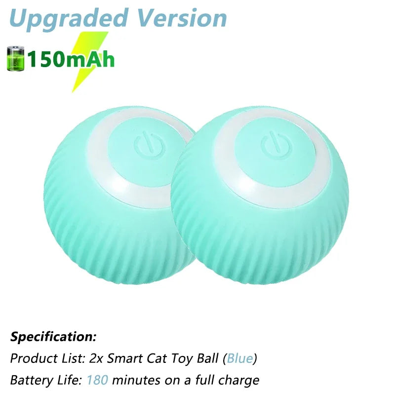 PetNoir™ – The Ultimate Chase Toy