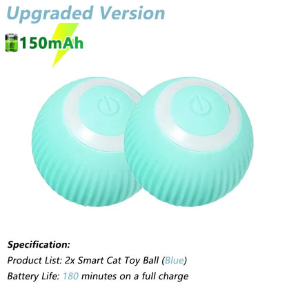 PetNoir™ – The Ultimate Chase Toy