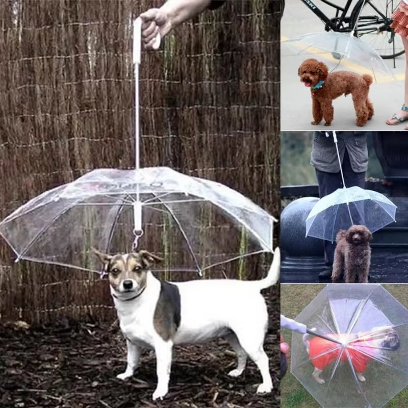 Travel Dog Rain Poncho – For Walks & Adventures