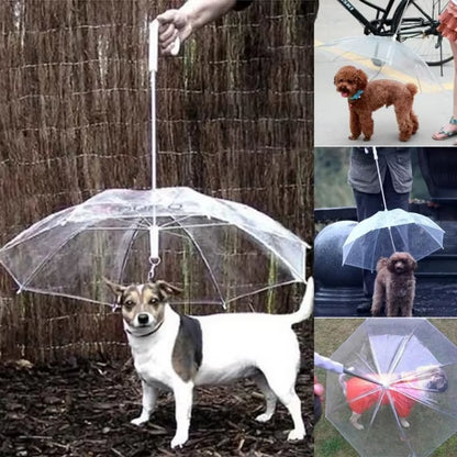 Travel Dog Rain Poncho – For Walks & Adventures