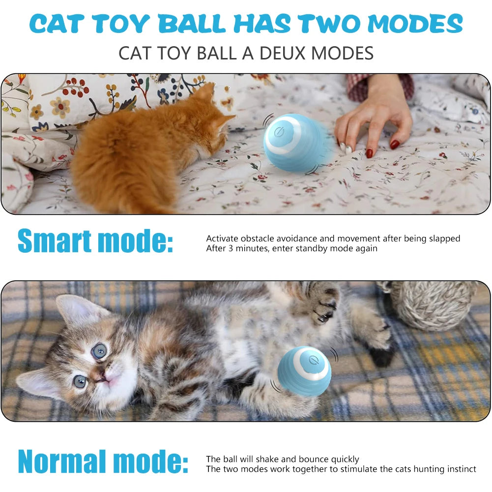 PetNoir™ – The Ultimate Chase Toy