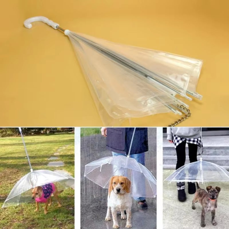 Travel Dog Rain Poncho – For Walks & Adventures